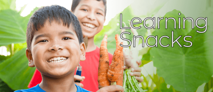Learning Snacks - The Fight for Racial Equality, Reducing Food Waste, and the Accessibility of Healthy Meals
