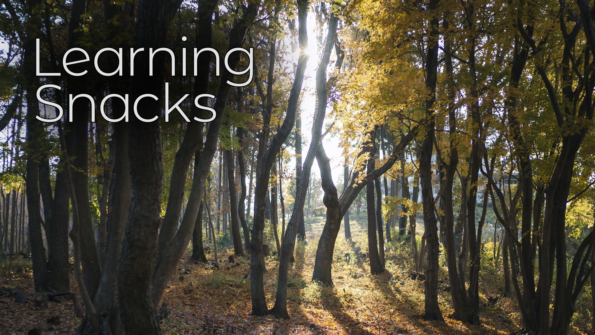 Learning Snacks - The Autumn Equinox