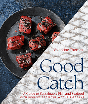 Good Catch by Valentine Thomas (© 2023). Photography by Andrew Thomas Lee. Published by Union Square & Co. 
