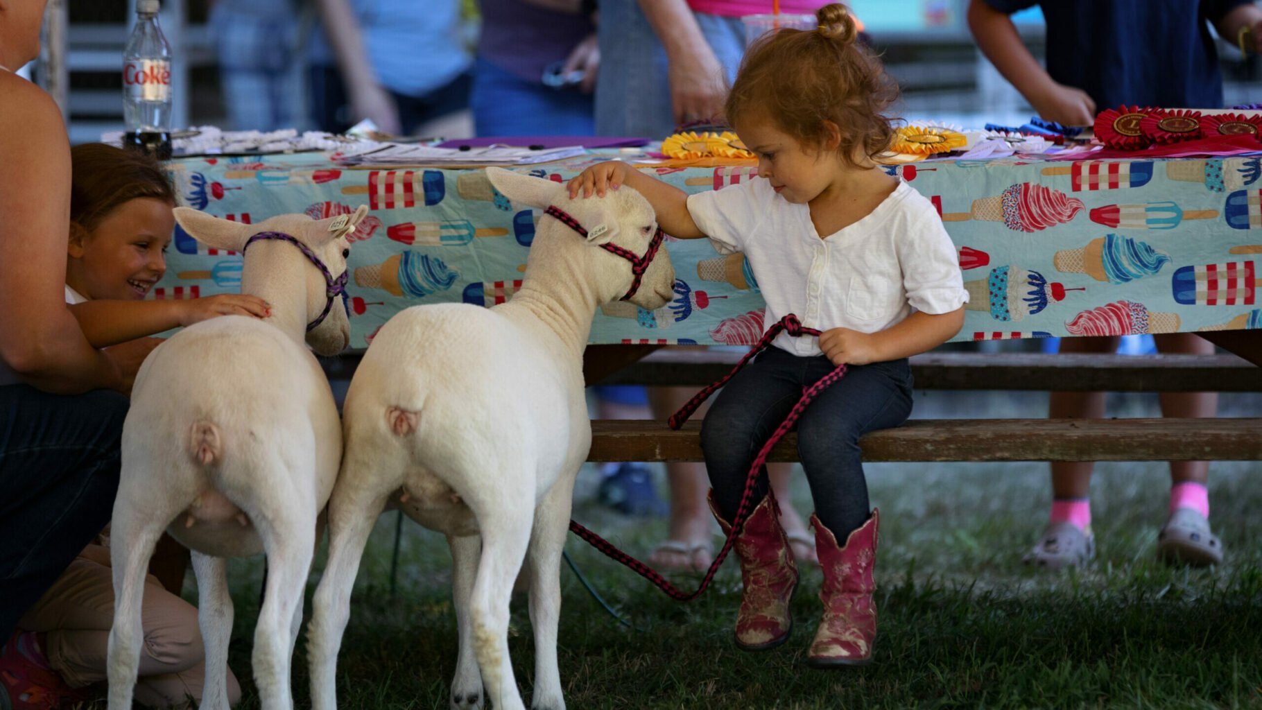 2022 Lebanon Country Fair - Day 3