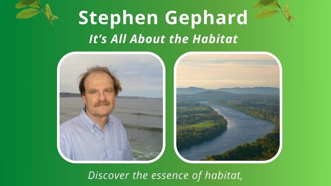 MEET-YOUR-GREENS-Stephen-Gephard-e1704486077365