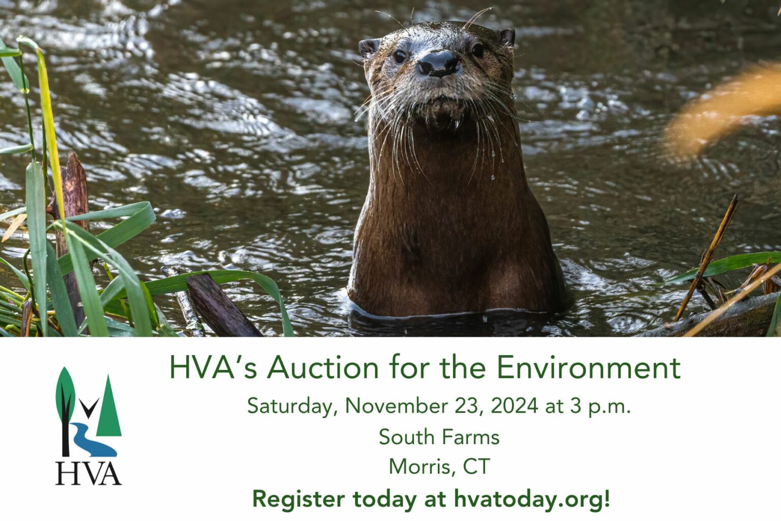 HVA Auction 2024 Postcard