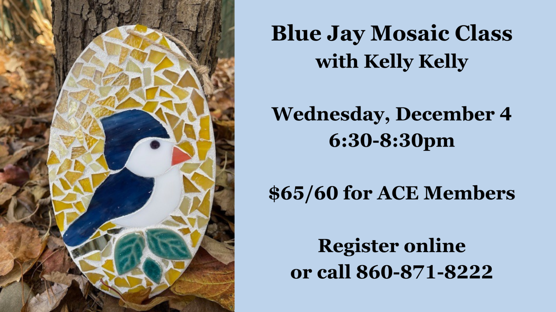 Blue Jay Mosaic Class